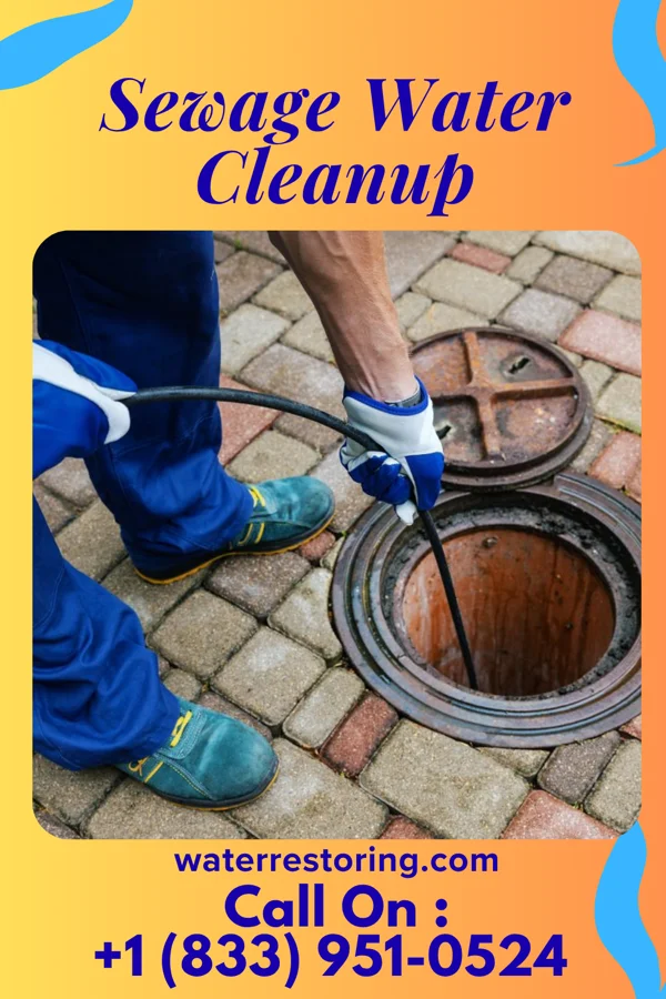 Sewage Water Cleanup in Weed, CA